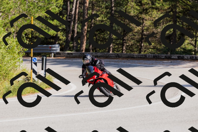 202509131530-_04A9591_c3