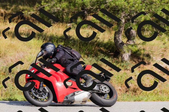 202509131531-_04A9594_c3