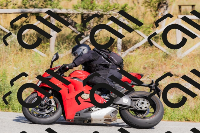 202509131531-_04A9595_c3