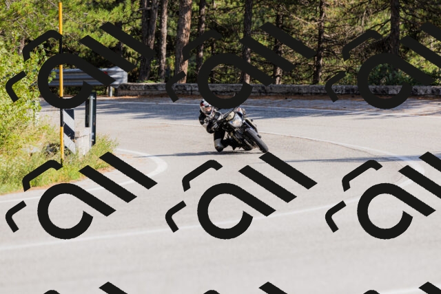 202509131532-_04A9596_c3