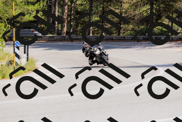 202509131532-_04A9597_c3