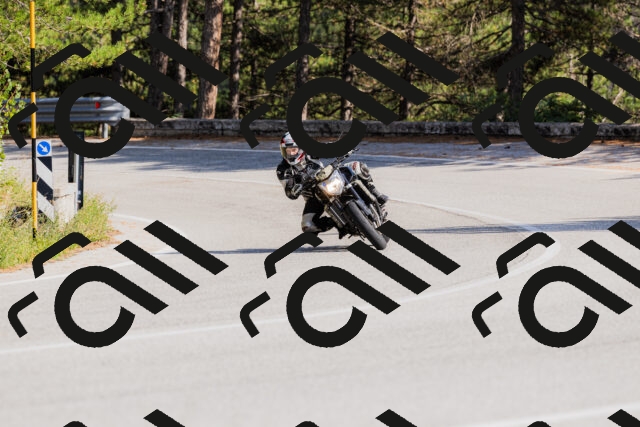 202509131532-_04A9598_c3