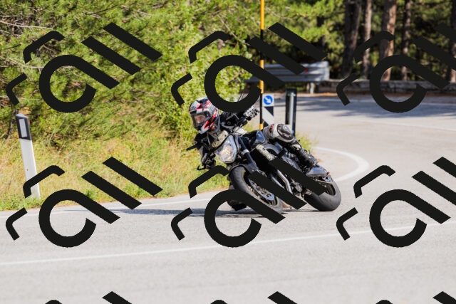 202509131532-_04A9600_c3