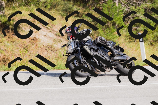 202509131532-_04A9601_c3