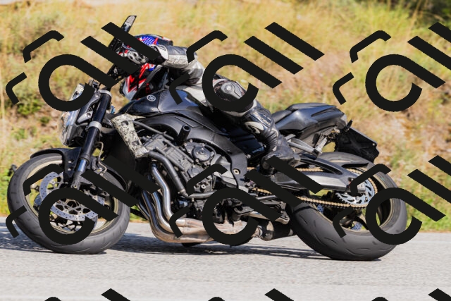 202509131532-_04A9602_c3