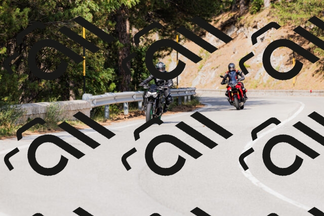 202509131532-_04A9603_c3