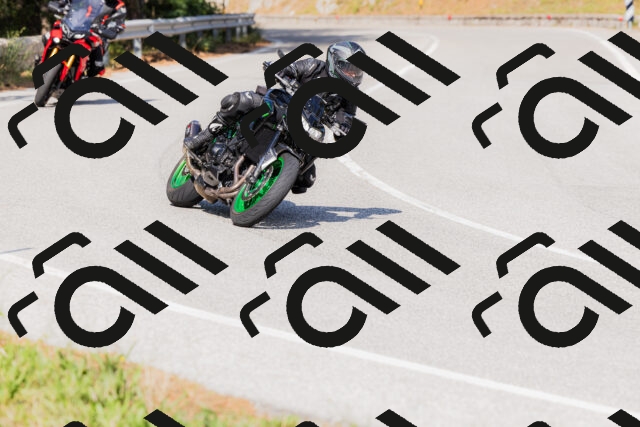 202509131532-_04A9608_c3