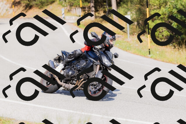 202509131532-_04A9618_c3