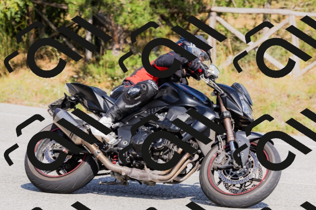 202509131532-_04A9619_c3