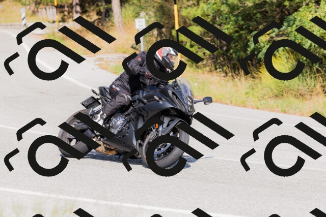 202509131532-_04A9621_c3