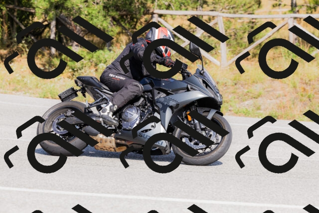 202509131532-_04A9622_c3