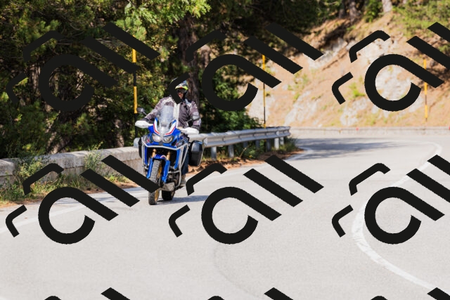 202509131535-_04A9623_c3