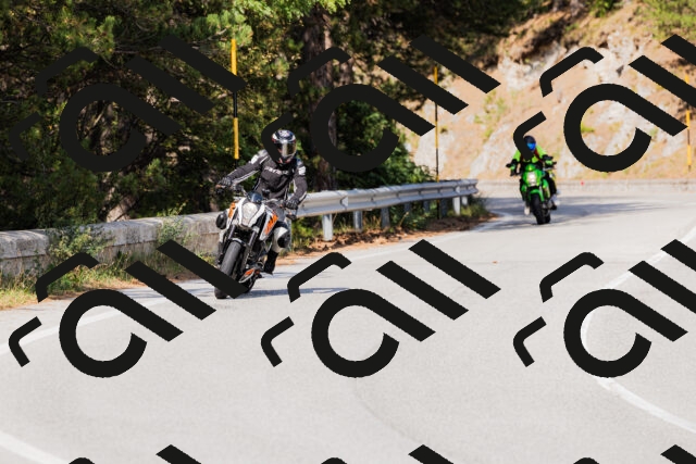 202509131537-_04A9634_c3