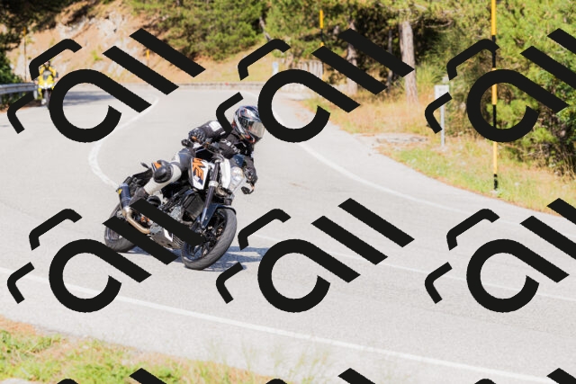 202509131537-_04A9636_c3