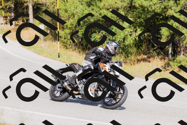 202509131537-_04A9637_c3