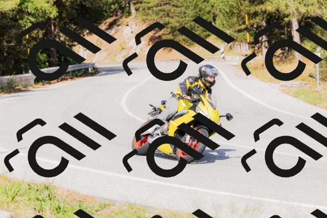 202509131537-_04A9641_c3