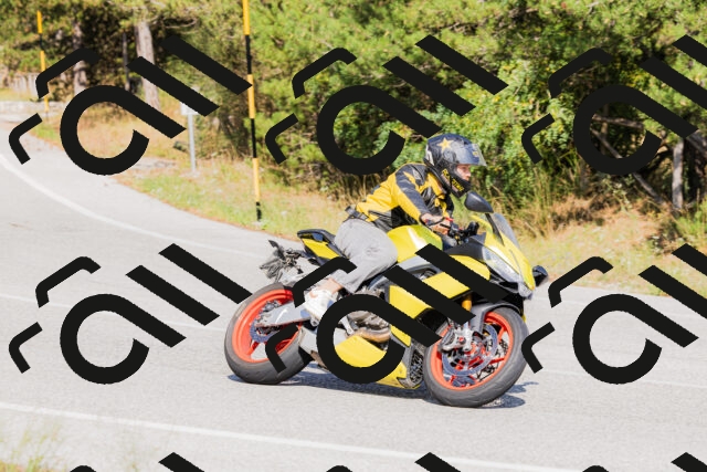 202509131537-_04A9642_c3