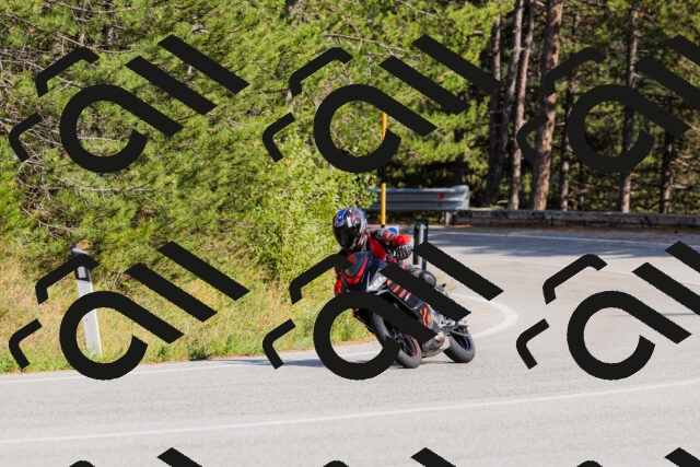 202509131538-_04A9644_c3