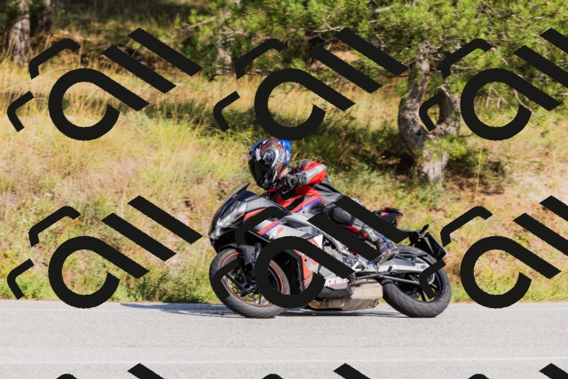 202509131538-_04A9646_c3