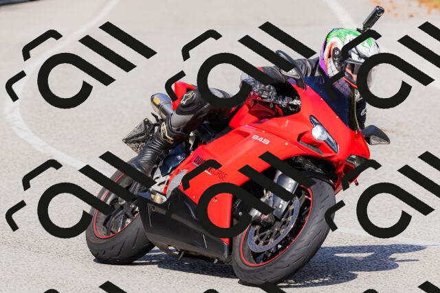 202509131538-_04A9656_c3