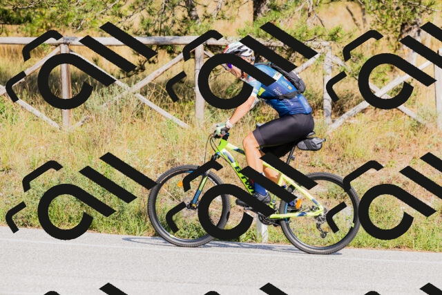 202509131539-_04A9660_c3