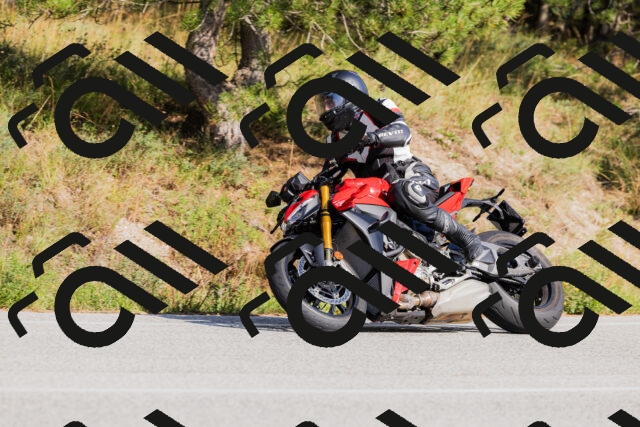 202509131540-_04A9667_c3