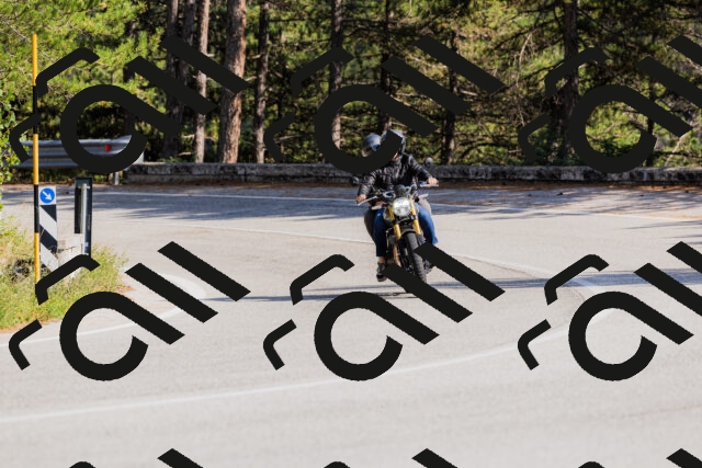 202509131542-_04A9668_c3