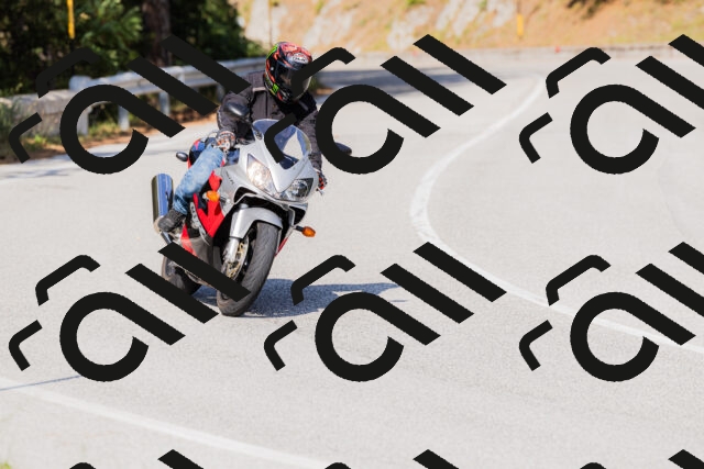 202509131545-_04A9687_c3