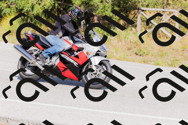 202509131545-_04A9689_c3