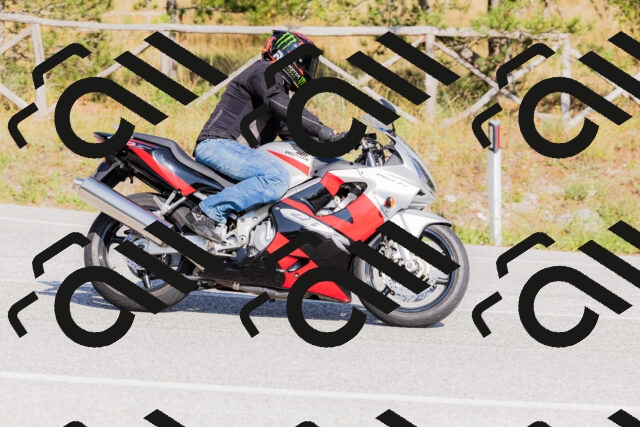 202509131545-_04A9690_c3