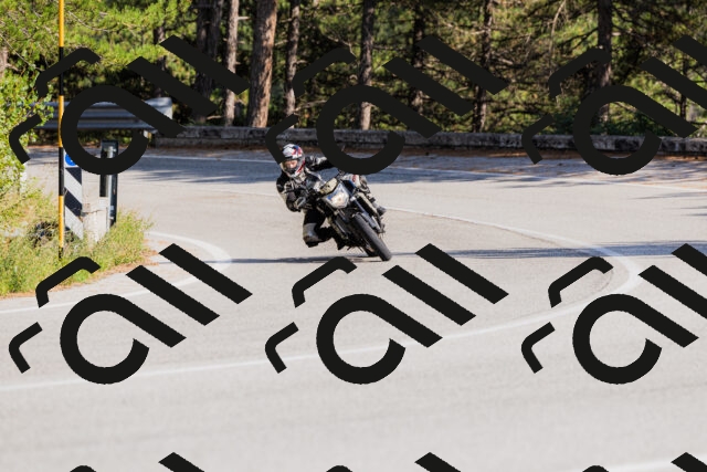 202509131547-_04A9707_c3