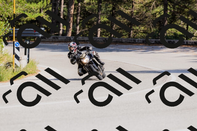 202509131547-_04A9708_c3