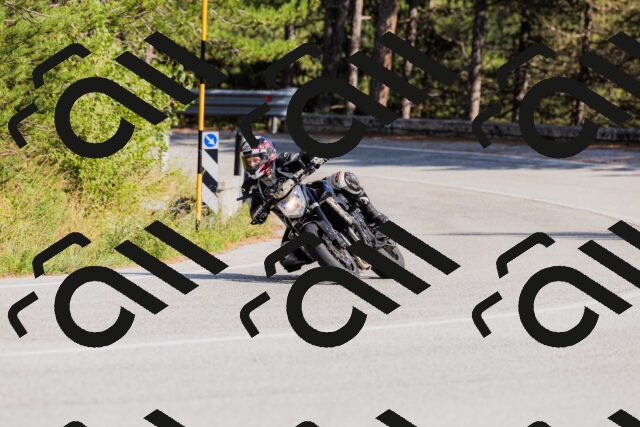 202509131547-_04A9709_c3