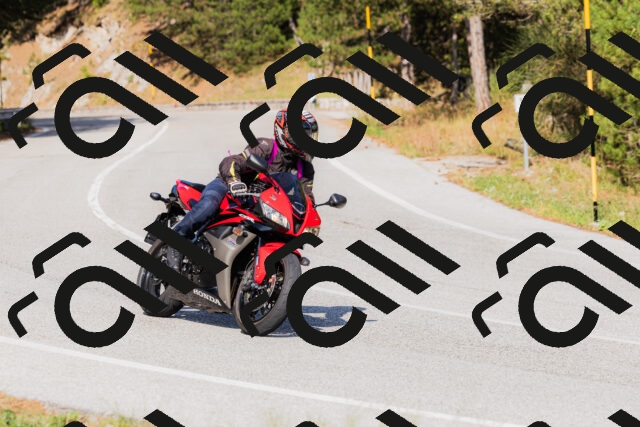 202509131548-_04A9715_c3