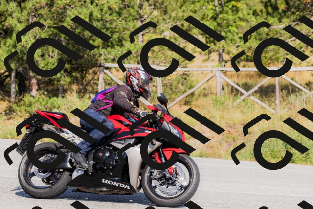 202509131548-_04A9717_c3