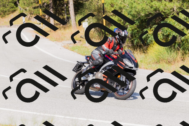 202509131550-_04A9732_c3