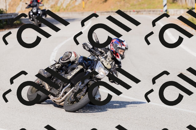 202509131550-_04A9738_c3