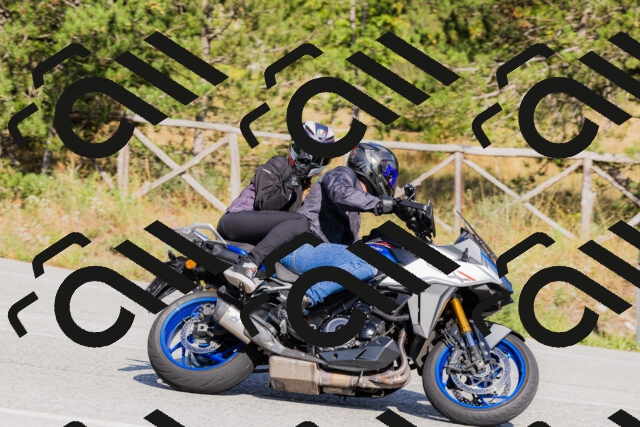 202509131550-_04A9751_c3