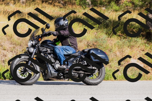 202509131552-_04A9772_c3