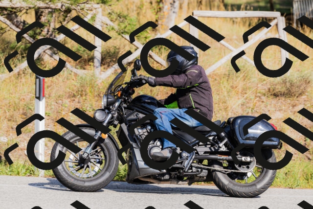 202509131552-_04A9773_c3