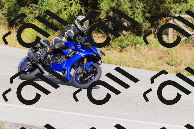 202509131557-_04A9785_c3