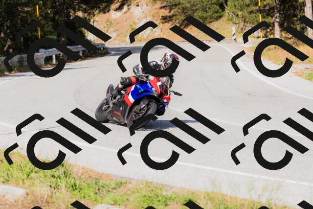 202509131557-_04A9788_c3