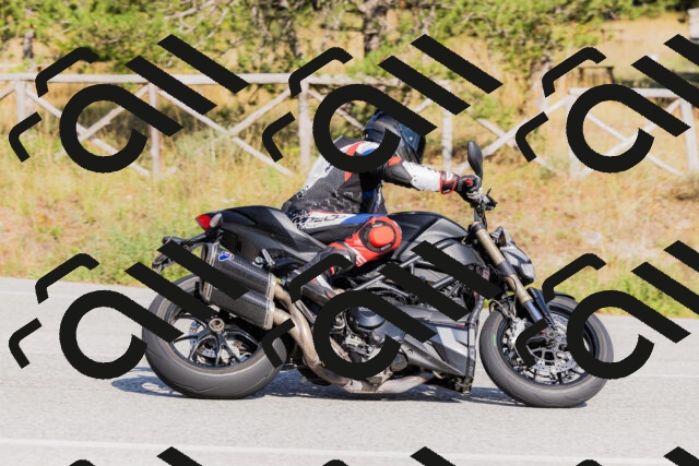 202509131557-_04A9800_c3