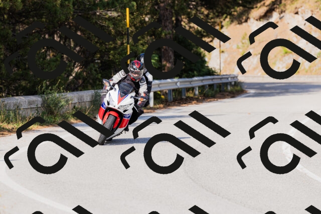 202509131558-_04A9803_c3