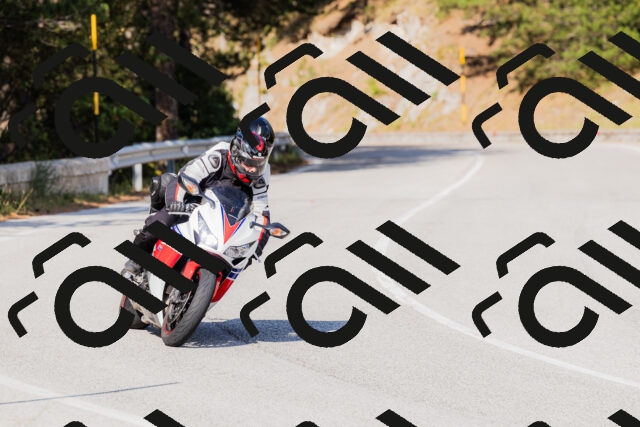 202509131558-_04A9805_c3