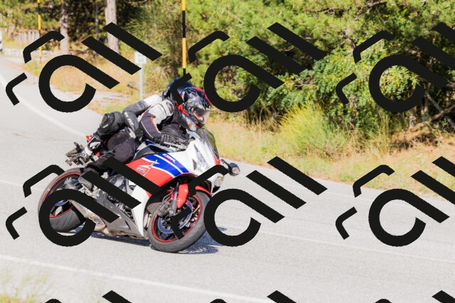 202509131558-_04A9807_c3