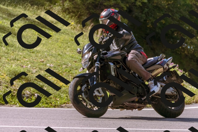 202509131058-_DSC9840_d1_