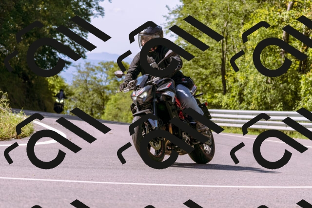 202509131059-_DSC9842_d1_