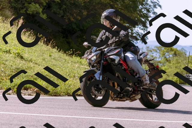 202509131059-_DSC9843_d1_