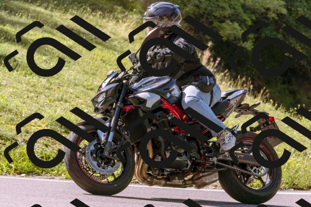 202509131059-_DSC9844_d1_